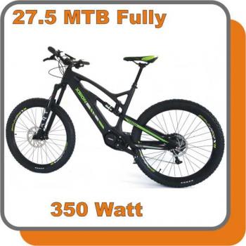 E-Bike MTB Carbon Fully Raptor E-Bike 350W 48V 13,6ah Akku